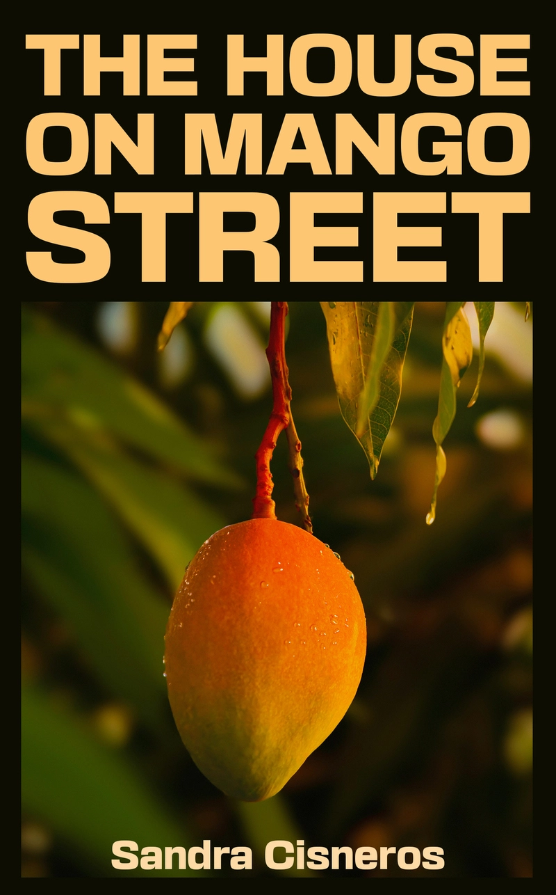 The House on Mango Street Novel Packet by Venne