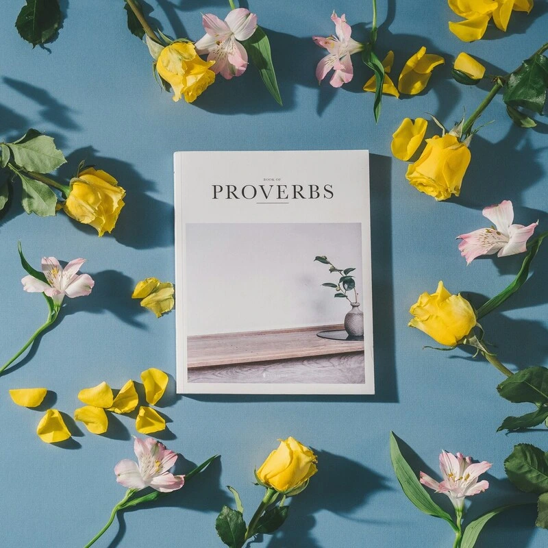 proverbs packet by venne
